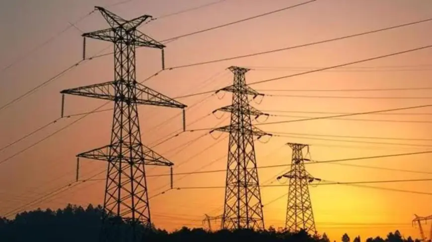 ਪੰਜਾਬ ਦੇ 5 ਜ਼ਿਲ੍ਹਿਆਂ ਵਿੱਚ ਬਿਜਲੀ ਕੱਟਾਂ ਦਾ ਐਲਾਨ, 8 ਤੋਂ 10 ਘੰਟੇ ਰਹੇਗੀ ਸਪਲਾਈ ਬੰਦ