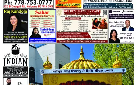 Punjabi Link Media Edition May 2026