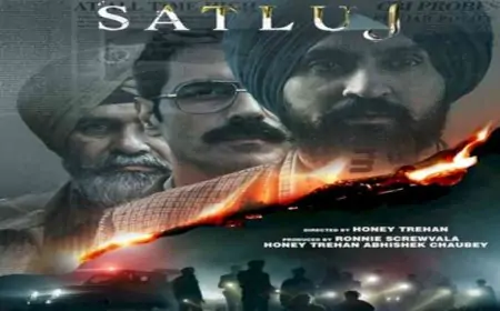 'ਸਤਲੁਜ' ਫ਼ਿਲਮ ਨੂੰ ਮੁੜ ZEE5 'ਤੇ ਰਿਲੀਜ਼ ਕਰਨ ਦੀ ਮੰਗ, ਪੰਜਾਬ ਤੇ ਹਰਿਆਣਾ ਹਾਈ ਕੋਰਟ ਵਿੱਚ ਜਨਹਿਤ ਪਟੀਸ਼ਨ ਦਾਇਰ
